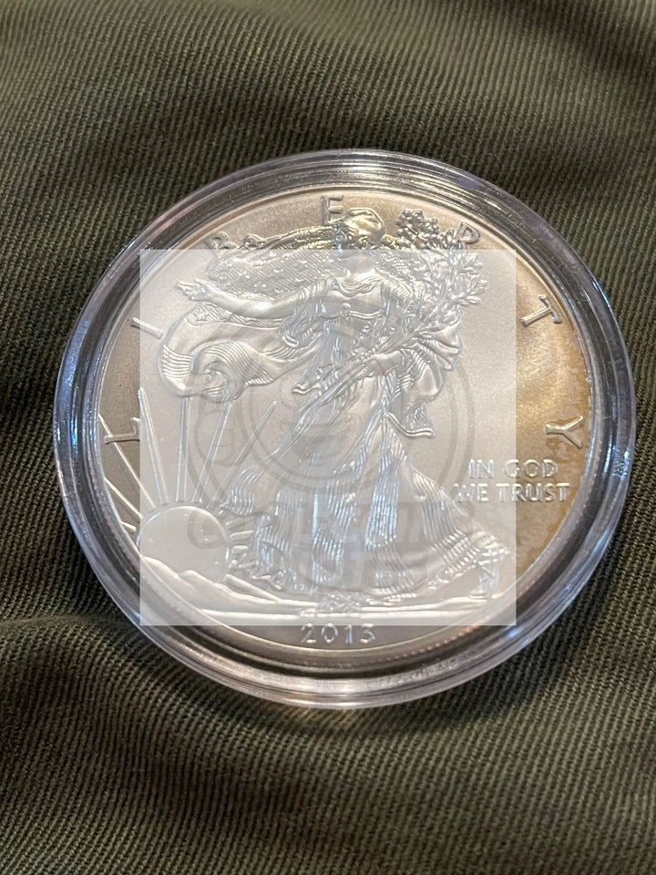 2013 1 oz American Silver Eagle Uncirculated in Capsul - Cool Coins & Notes