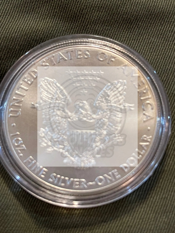 2013 1 oz American Silver Eagle Uncirculated in Capsul - Cool Coins & Notes