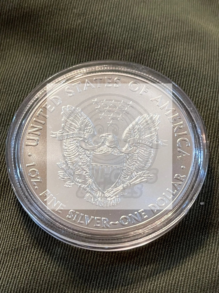 2015 American Silver Eagle UNC in Capsul Free Shipping! - Cool Coins & Notes