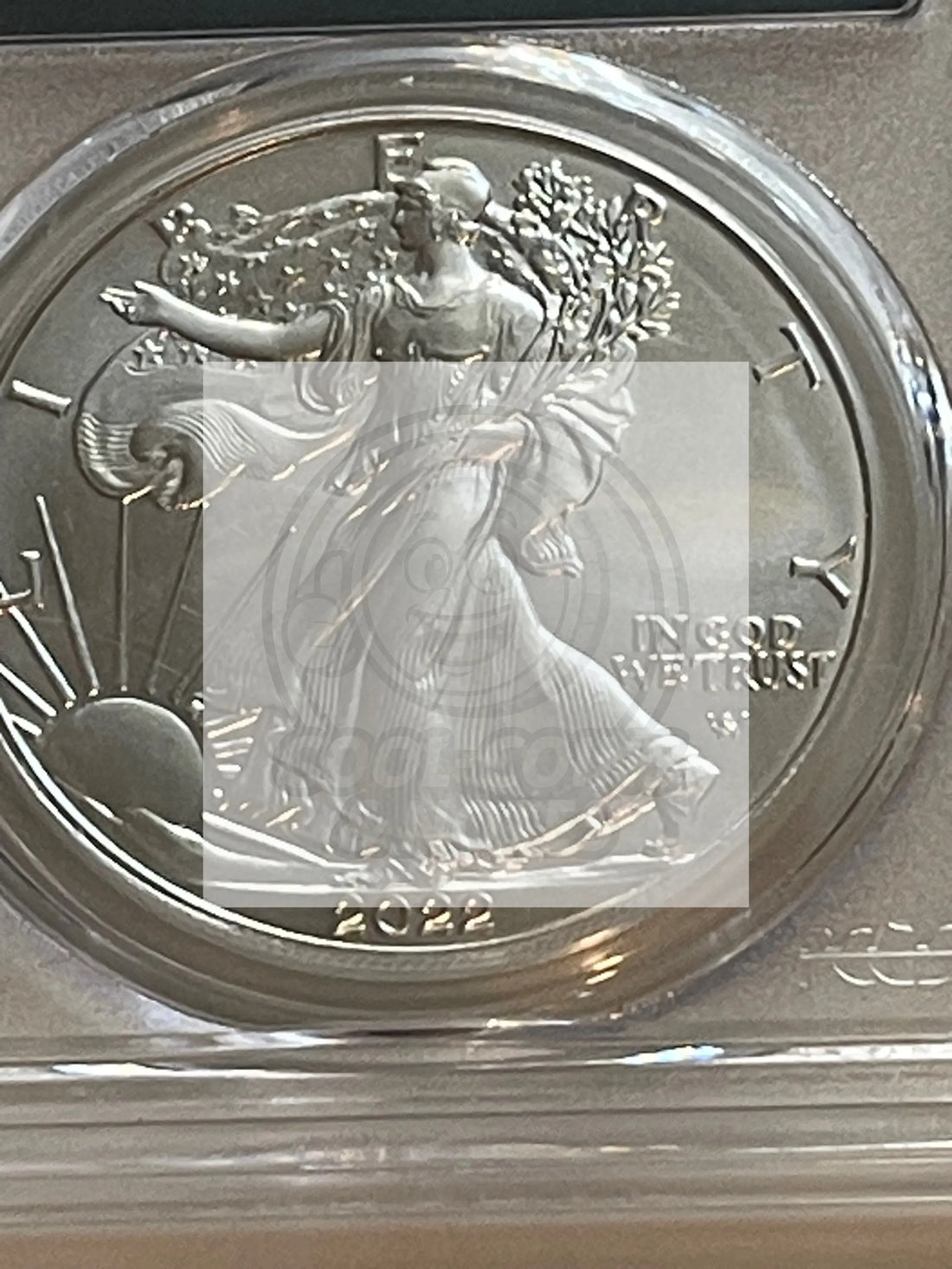 2022 PCGS Silver American Eagle - First Day of Issue - MS70 - Cool Coins & Notes
