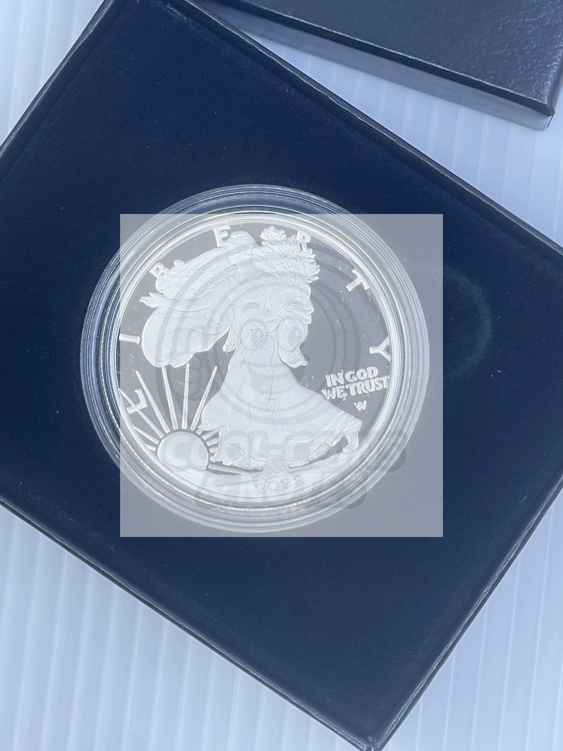 2022 S AMERICAN SILVER EAGLE 1 OZ. PROOF COIN WITH BOX AND COA - Cool Coins & Notes