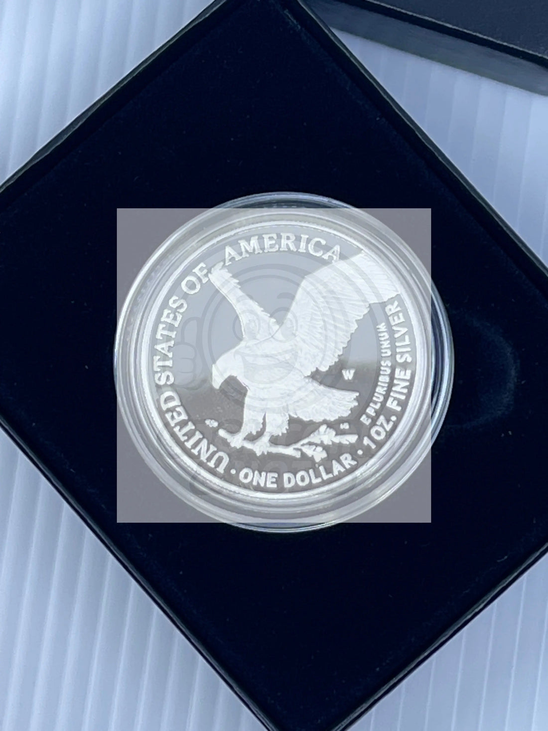 2022 S AMERICAN SILVER EAGLE 1 OZ. PROOF COIN WITH BOX AND COA - Cool Coins & Notes