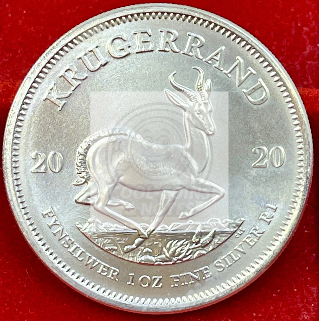 South Africa 2020 1 Krugerrand Silver UNC Coin - Cool Coins & Notes
