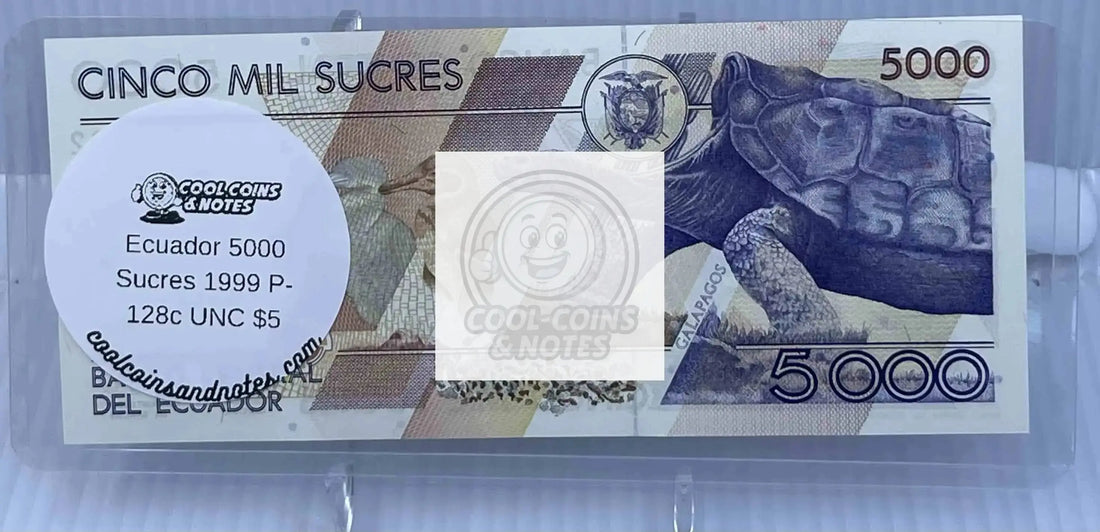 Currency Sleeve Bundle – 3 Pack for $19.99 Cool Coins & Notes 