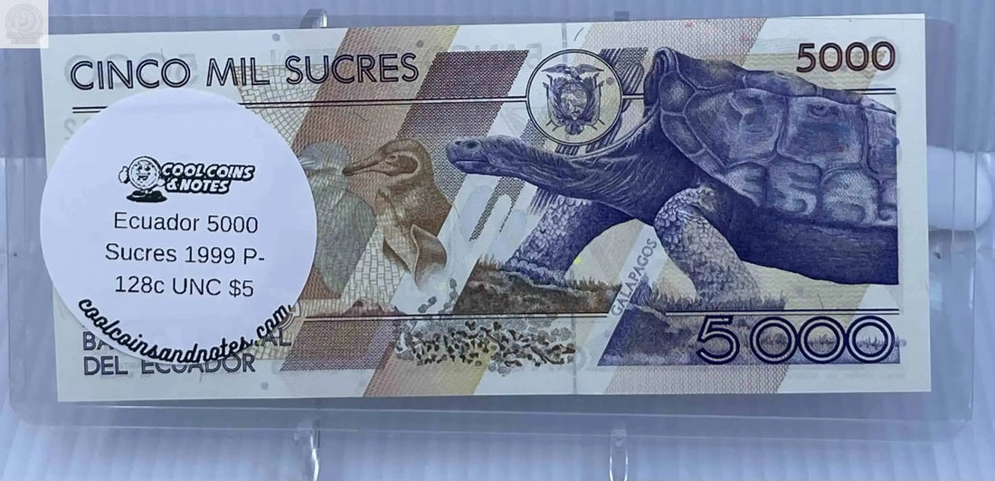 100 Banknote Currency Sleeves Rigid US Dollar Modern Size US Topload Holders Note Cool Coins & Notes - Cool Coins & Notes