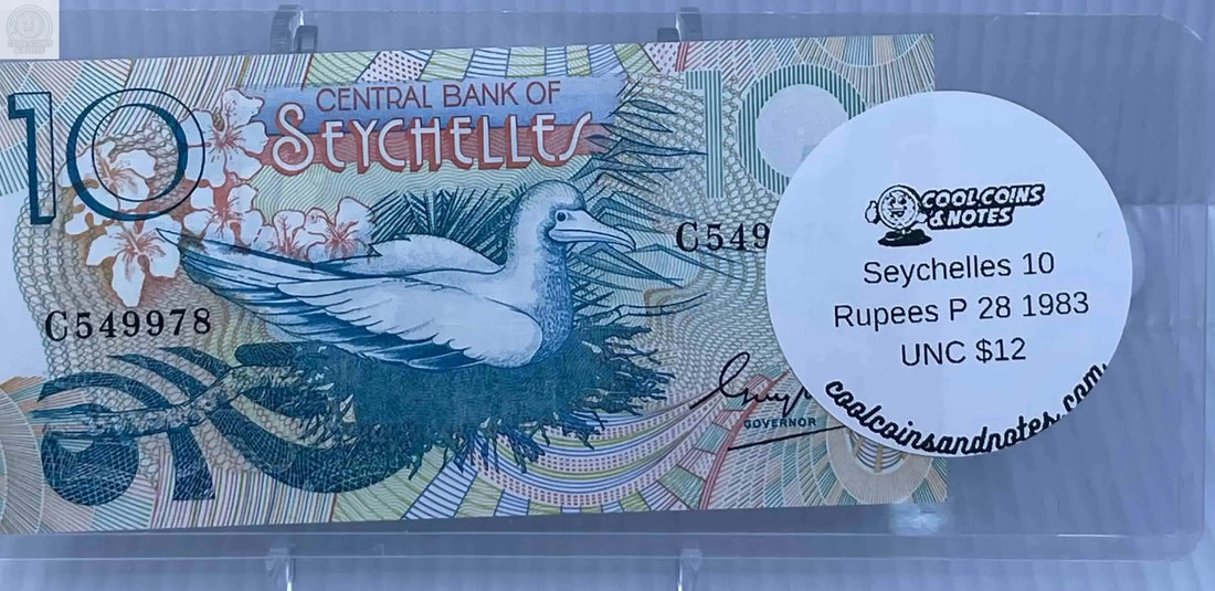 100 Banknote Currency Sleeves Rigid US Dollar Modern Size US Topload Holders Note Cool Coins & Notes - Cool Coins & Notes