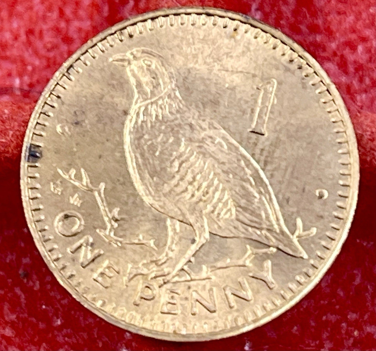 Gibraltar 1991 1 Penny Barbary Partridge World Coin Animal Wildlife Bronze KM 20