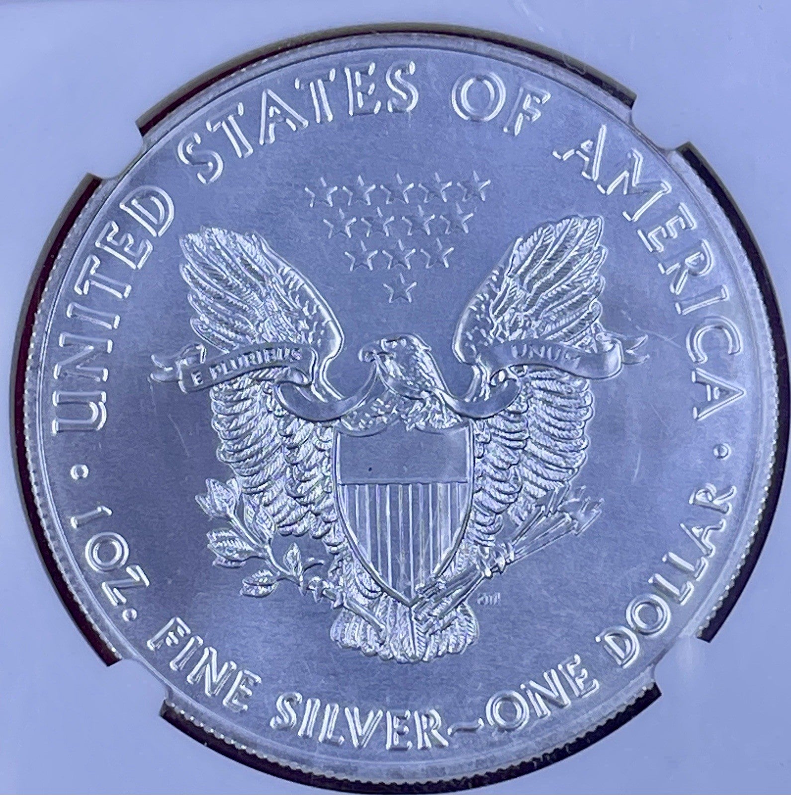 2020 $1 American Silver Eagle NGC MS70 Brown Label