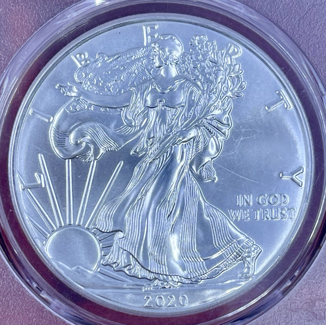 2020 Silver Eagles PCGS MS-70 Silver Eagle Donald Trump Label