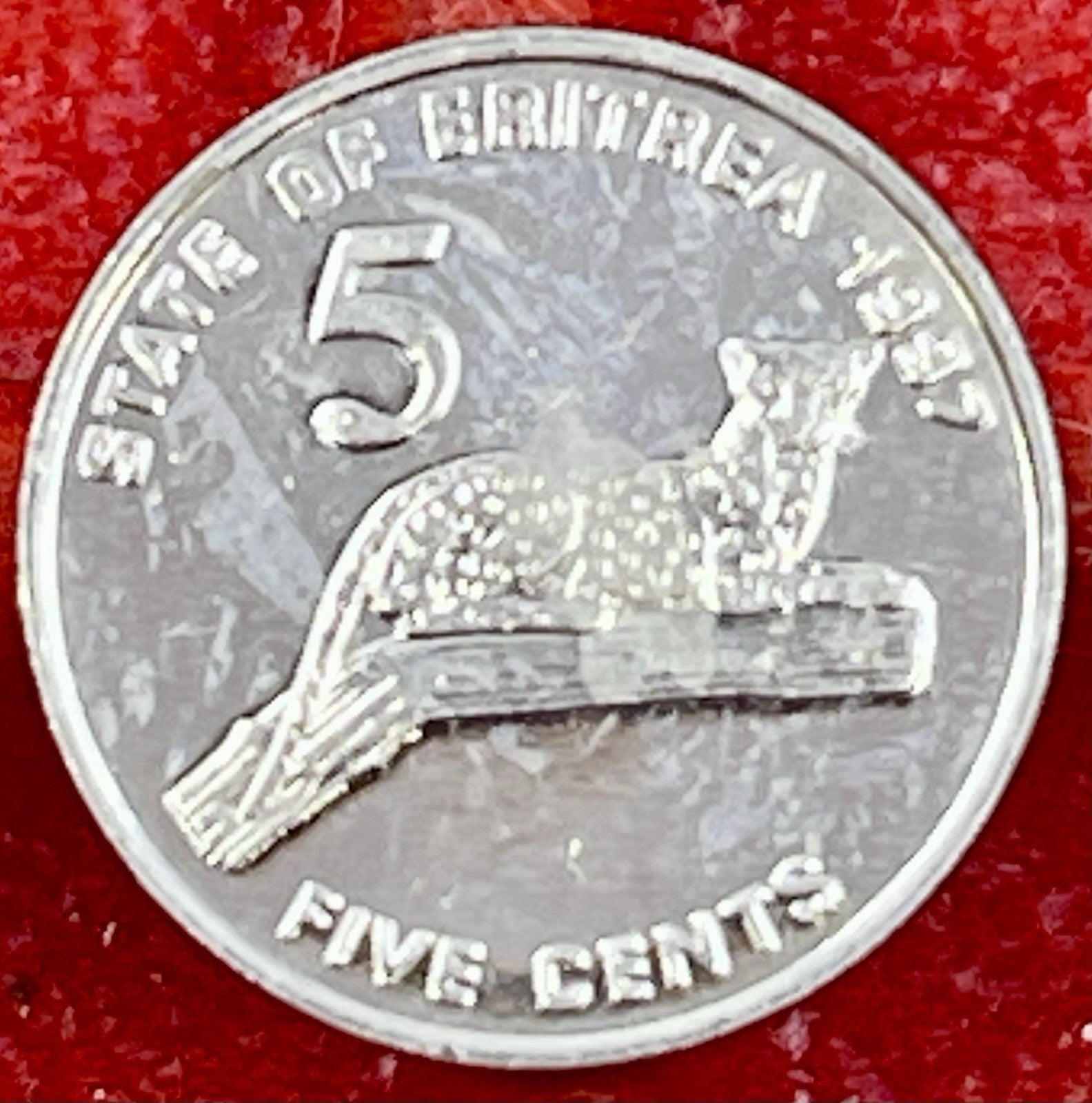 Eritrea 1997 - 5 Five Cents COIN " Leopard in a Tree" EAST AFRICA 19MM