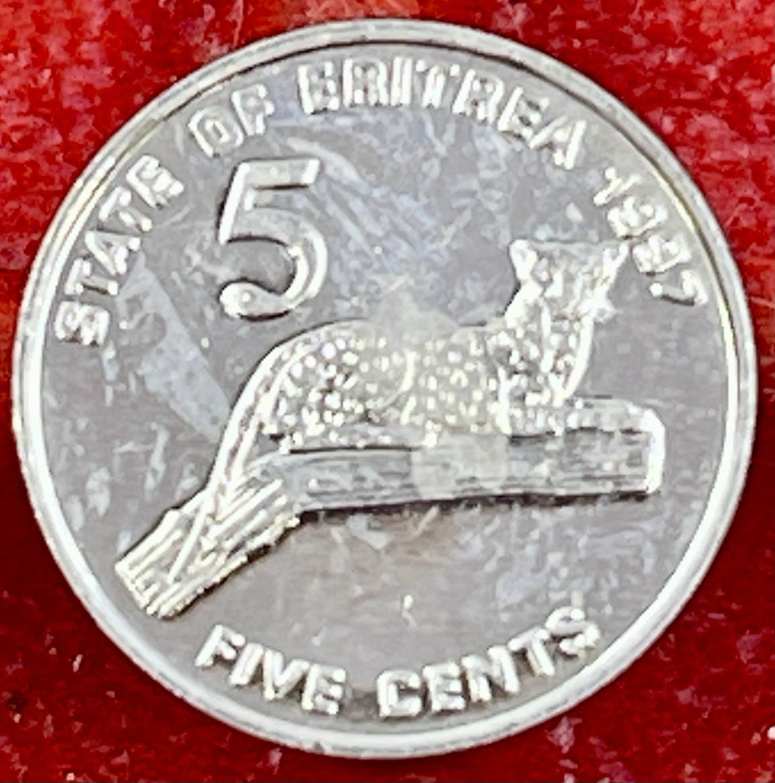 Eritrea 1997 - 5 Five Cents COIN " Leopard in a Tree" EAST AFRICA 19MM