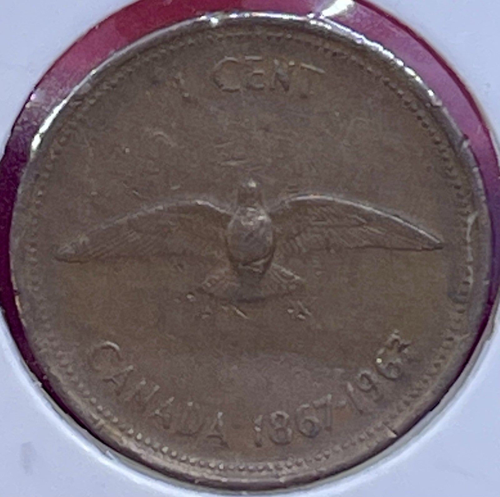 1967 Canada Cent Queen Elizabeth II Canadian Rock Dove Centennial Penny