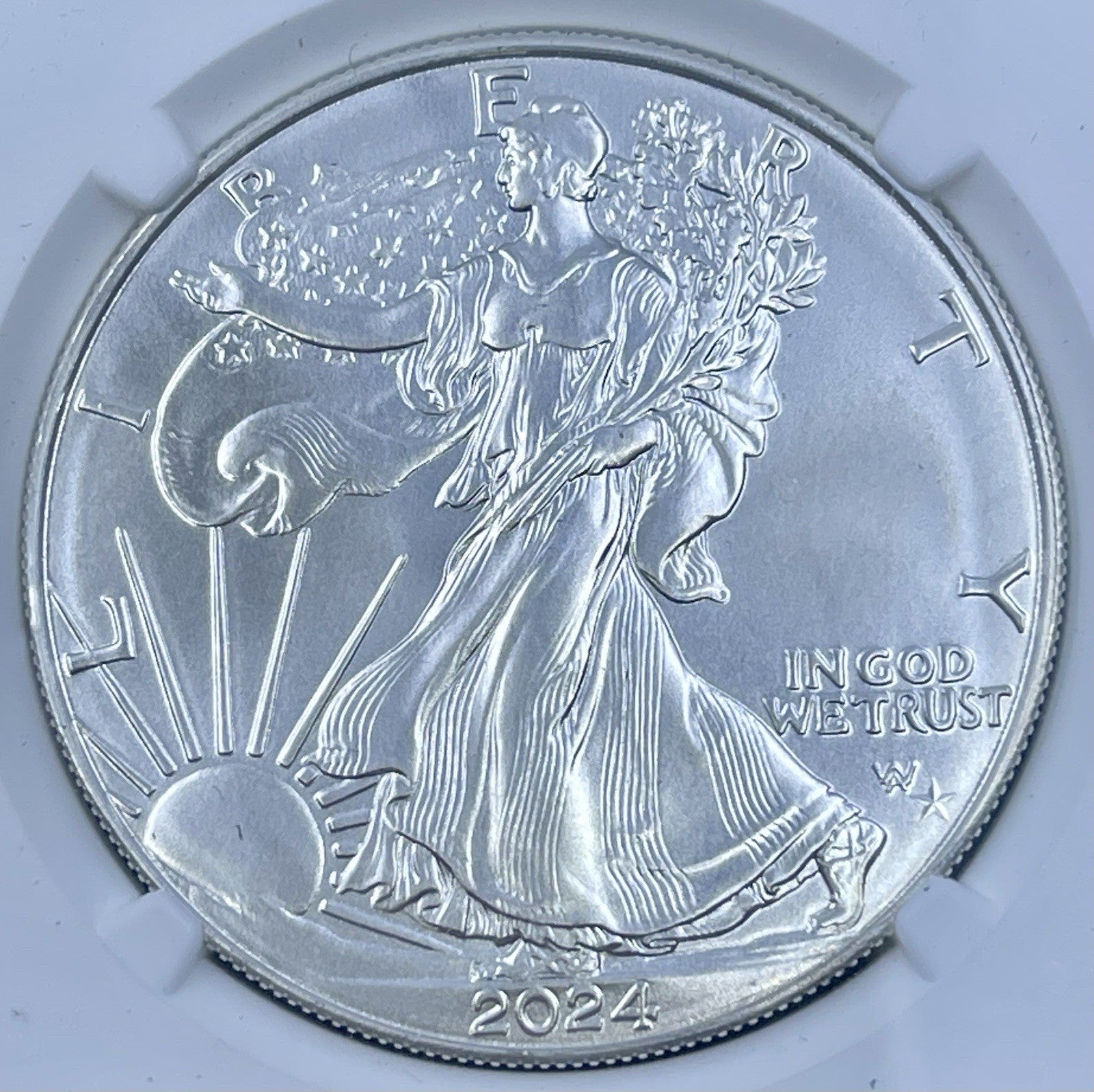 2024-P Star Privy American Silver Eagle NGC MS70 First Release One of First 50K