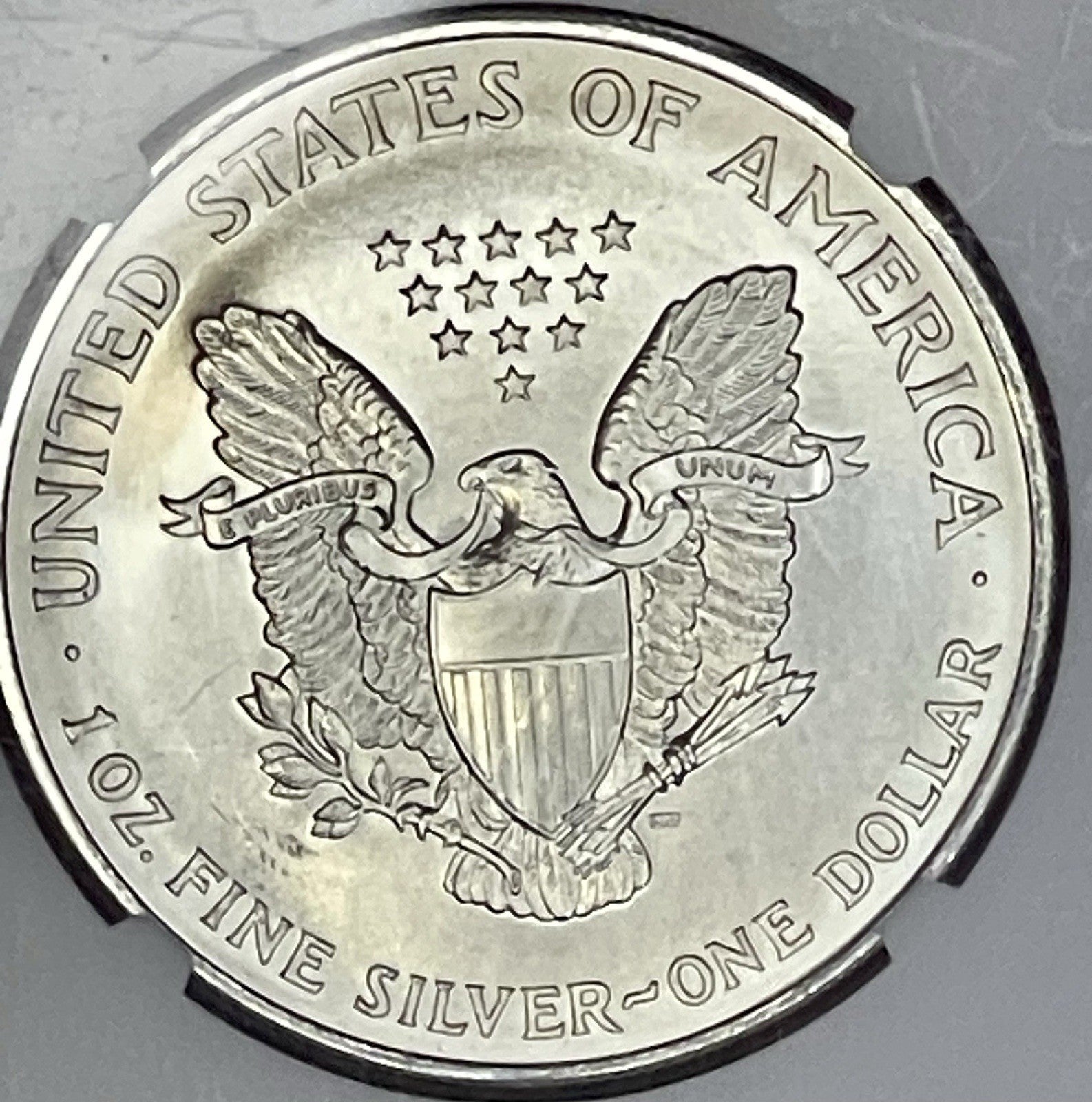 1996 $1 American Silver Eagle NGC MS69 Brown Label
