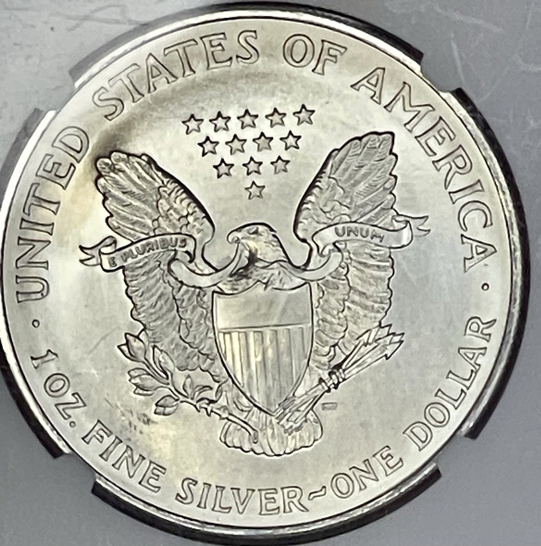 1996 $1 American Silver Eagle NGC MS69 Brown Label