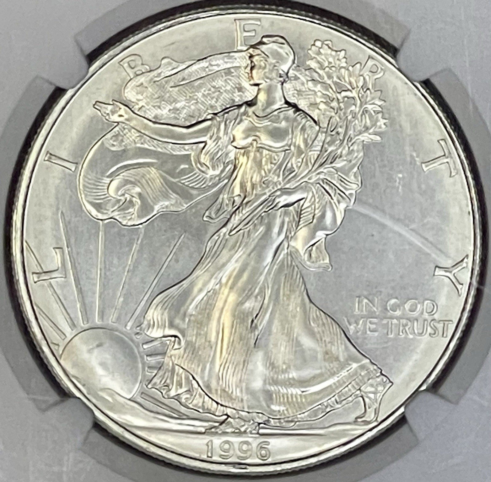 1996 $1 American Silver Eagle NGC MS69 Brown Label