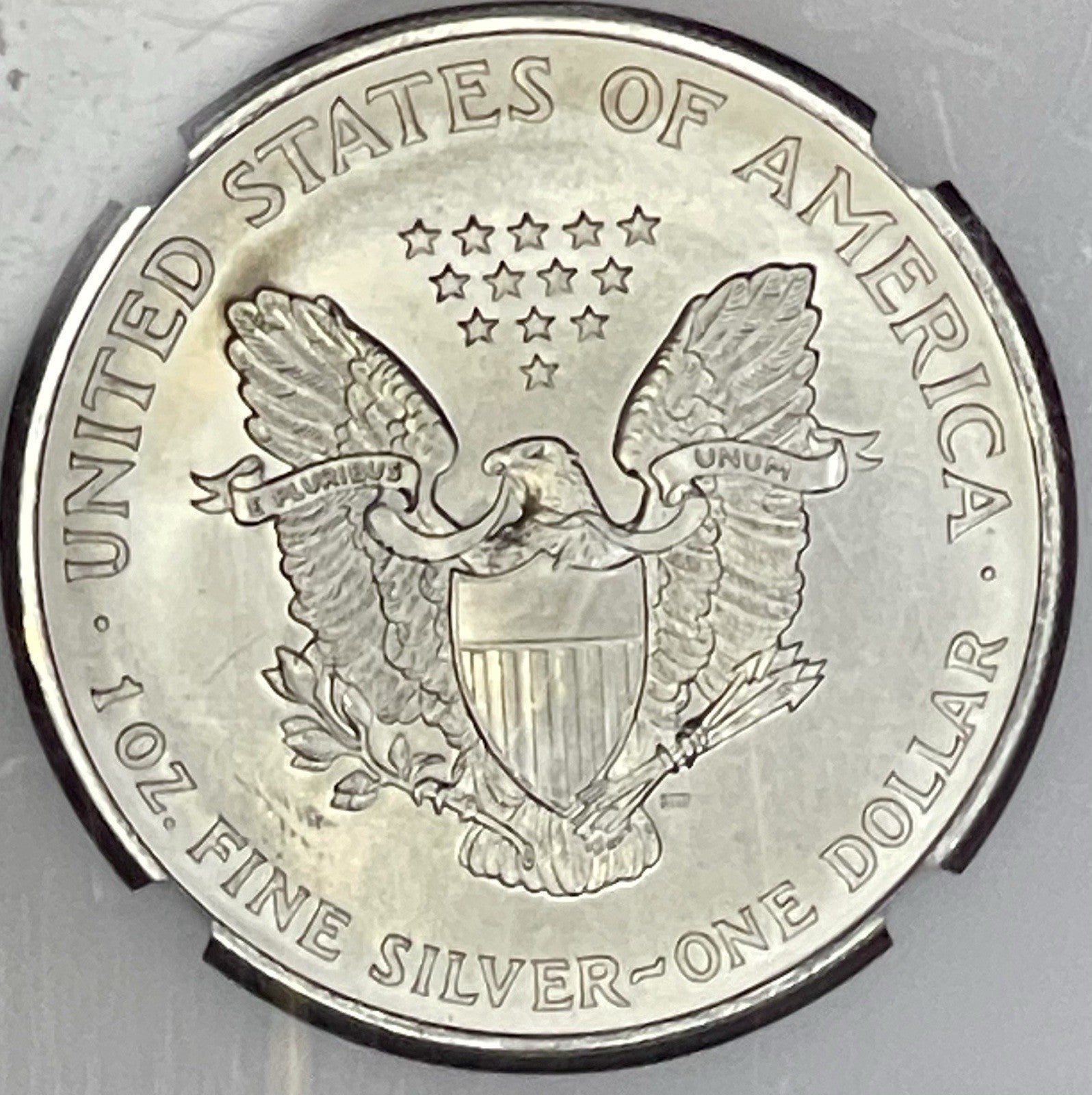 1996 $1 American Silver Eagle NGC MS69 Brown Label