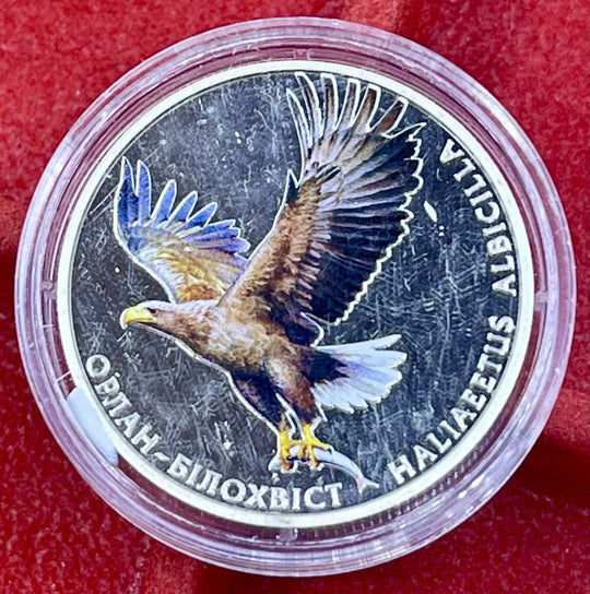 WHITE-TAILED EAGLE, Haliaeetus Albicilla , Ukraine 2 UAH Coin 2019 Fauna Bird