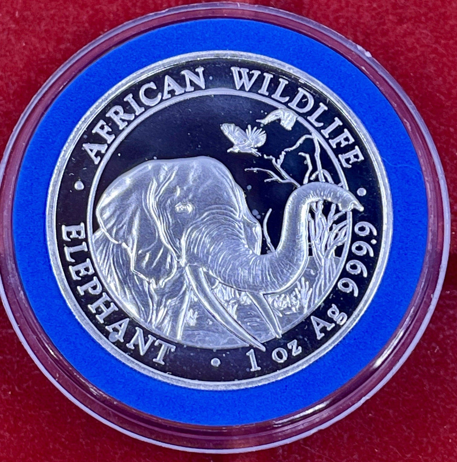 2018 Somali Republic African Wildlife Silver Elephant Coin 1oz .999