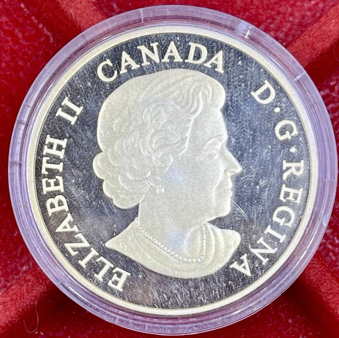 2017 Canada $20 Fine Silver Coin .9999 - The Bold Black Bear. Mint Condition!