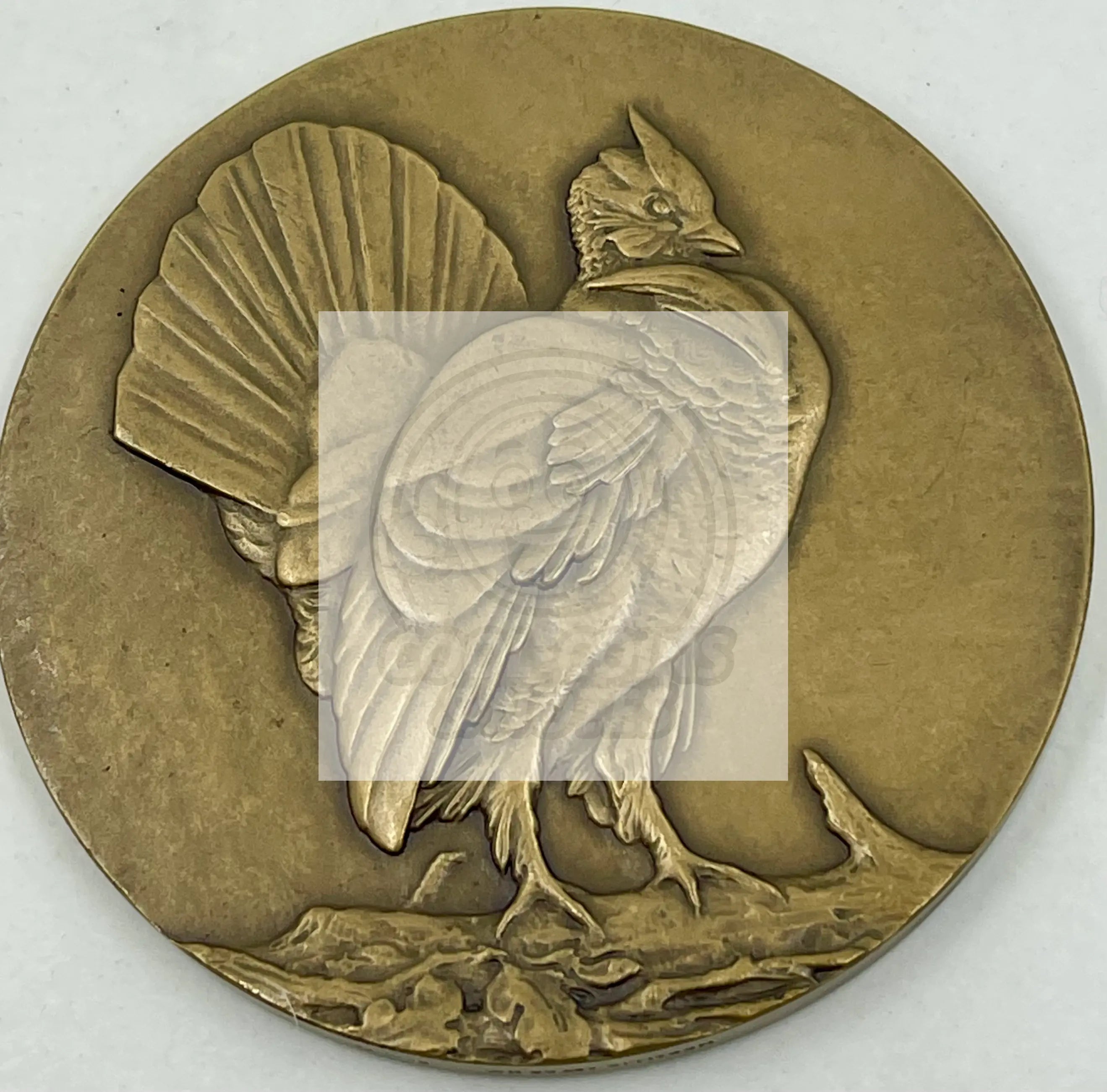 1930 Bronze Medal Laura Gardin Fraser Medallic Art First Issue - Cool Coins & Notes