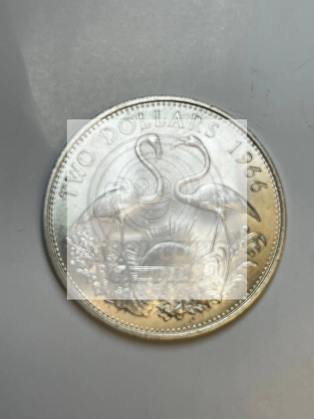 1966 Bahamas $2 Silver Coin BU KM #9 - Cool Coins & Notes