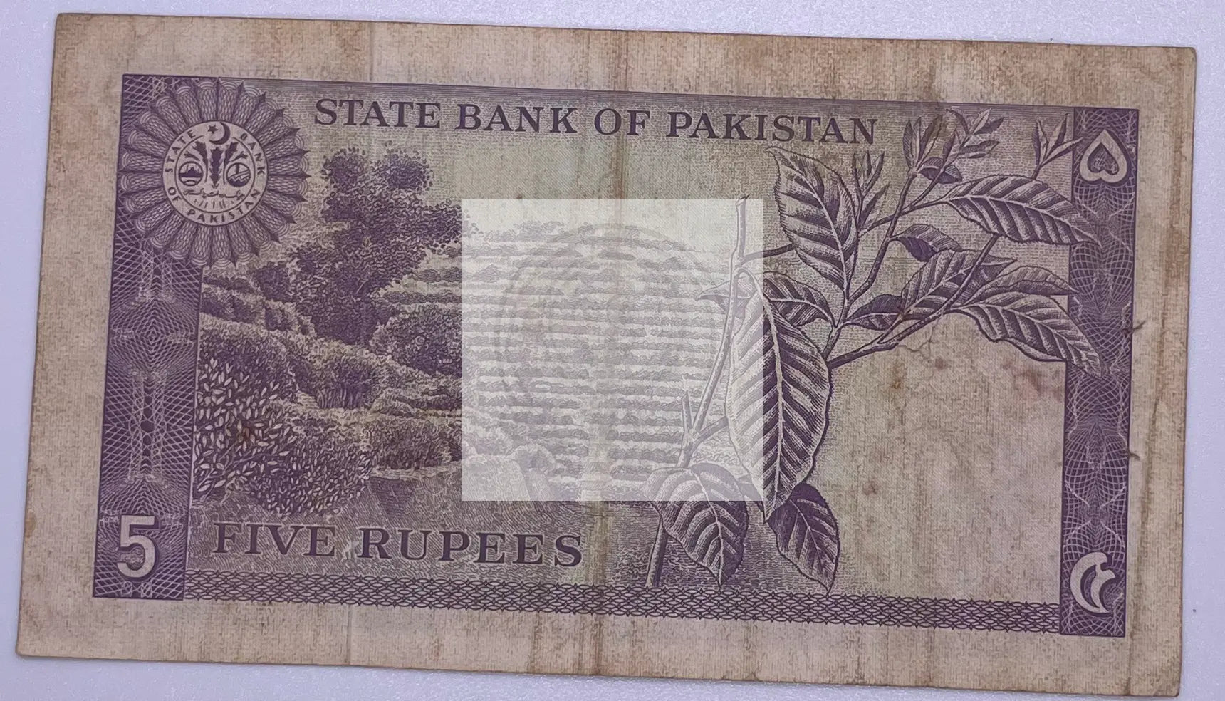 1966 Pakistan 5 Rupees ND P-15 vintage banknote showcasing mid-20th century design and cultural elements