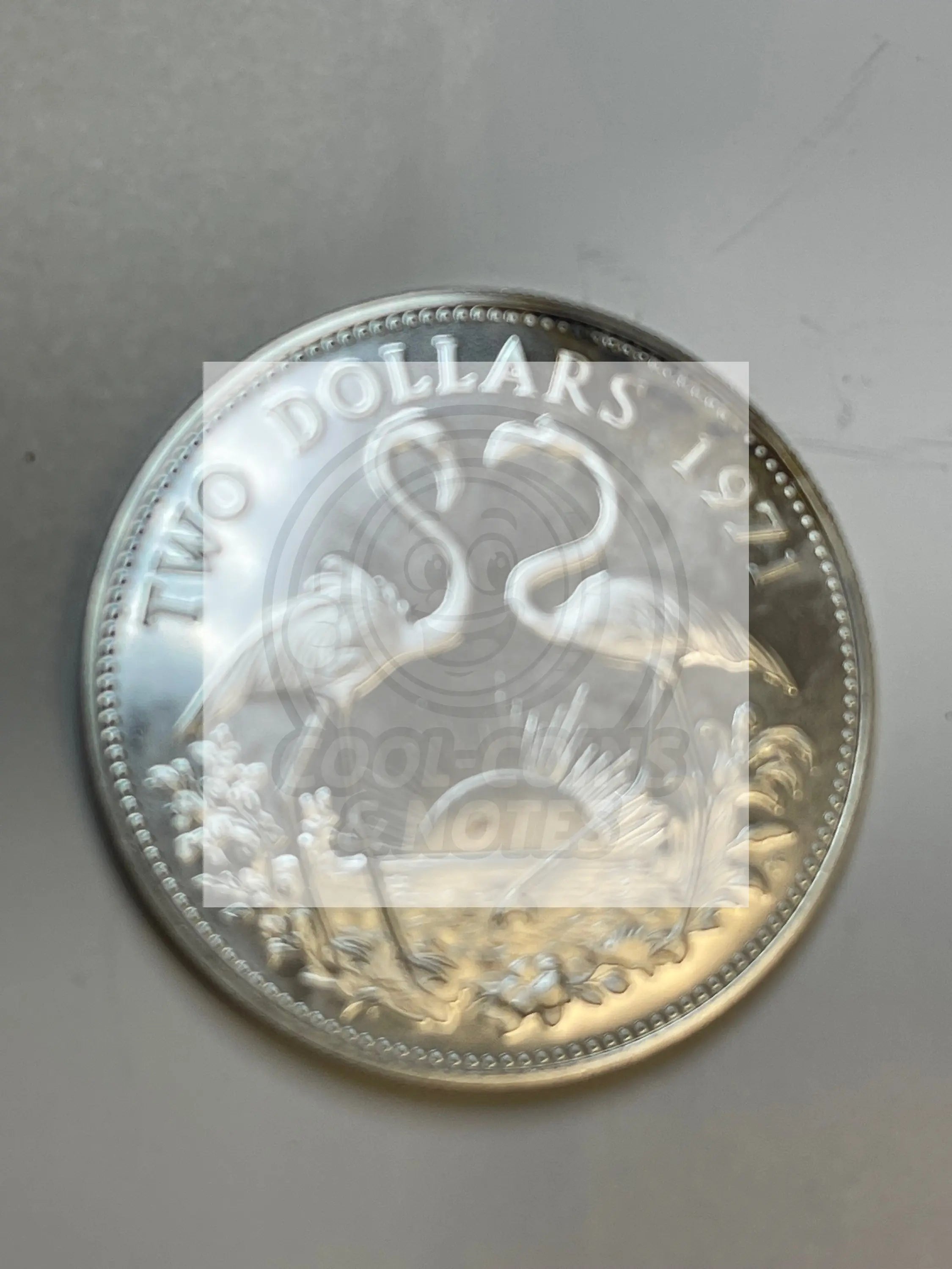 1971 Bahamas $2 Silver Coin UNC KM 23 - Cool Coins & Notes