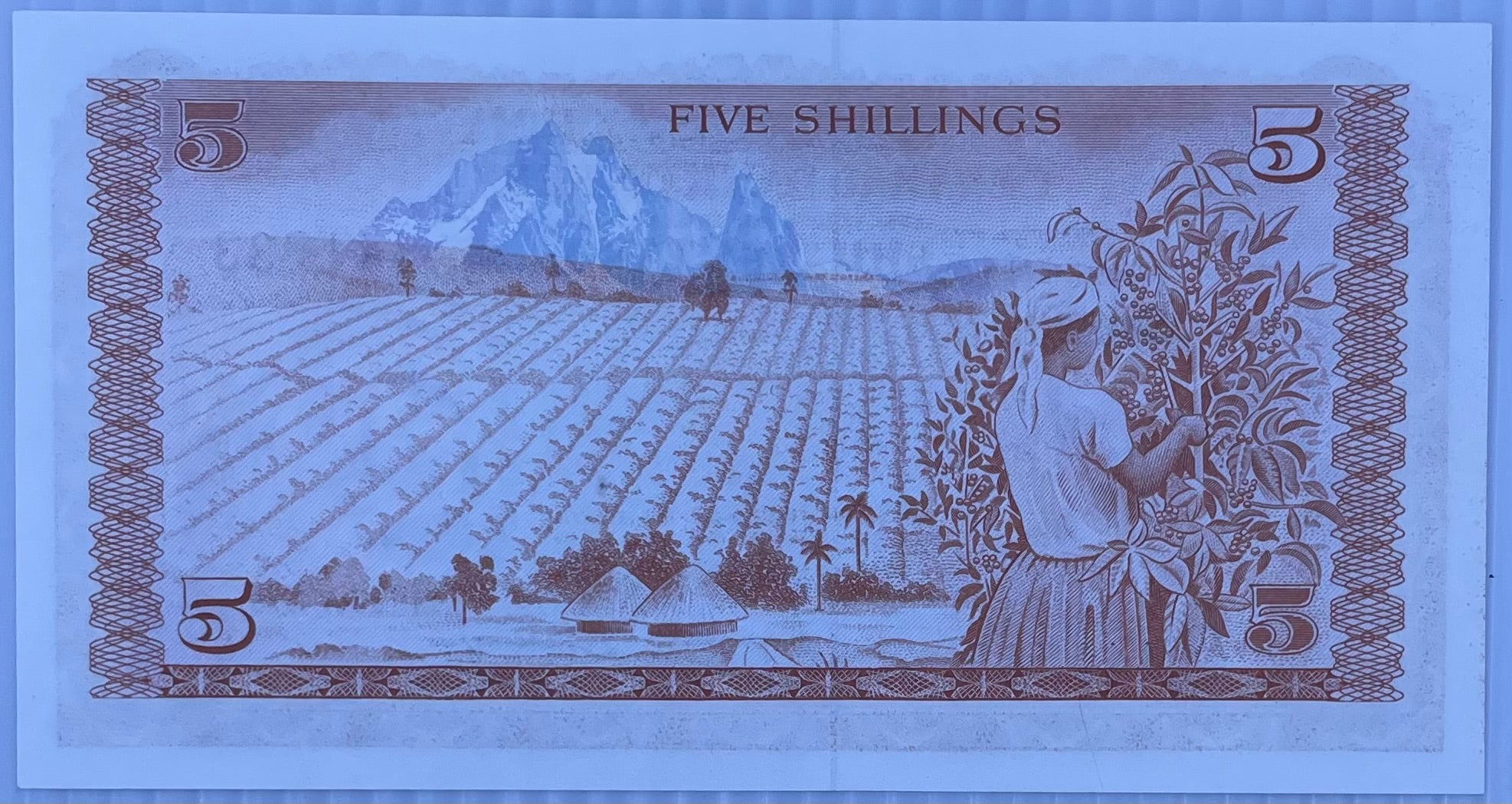 1978 Kenya 5 Shillings P-15 UNC World Banknote