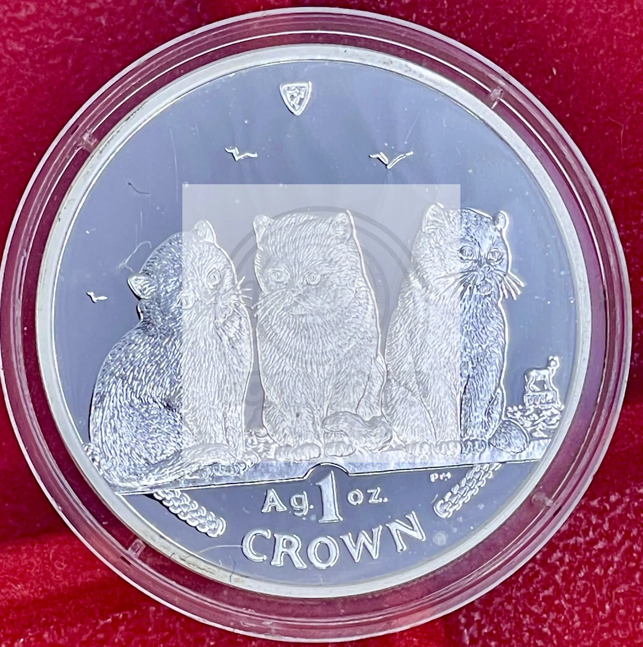 2005 Isle of Man Cats Gem Proof Rare Coin 1 Troy Oz .999 Fine Silver Round Medal Cool Coins & Notes 