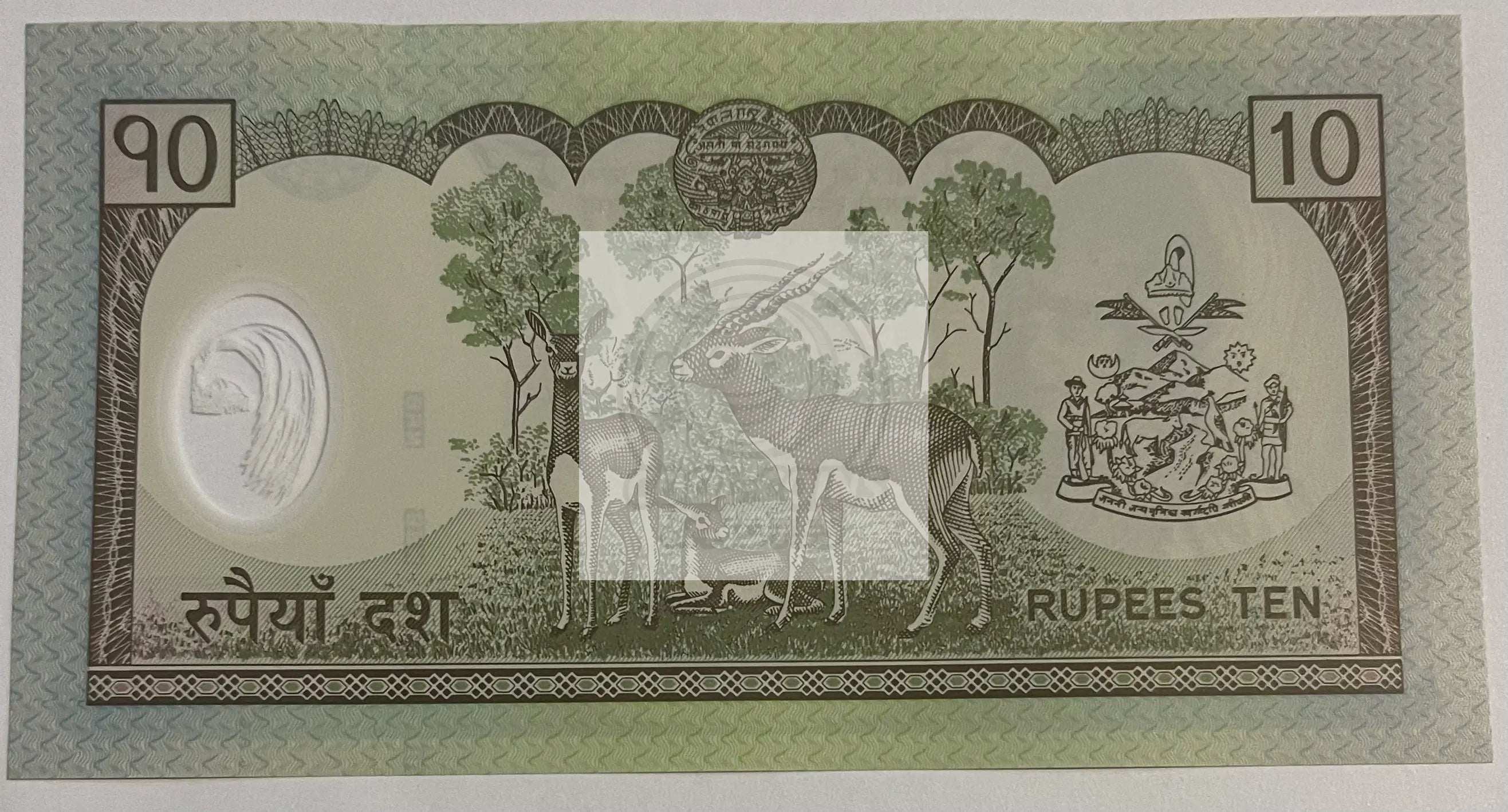 2005 (ND) Nepal 10 Rupees P-54 UNC Polymer World Banknote - Cool Coins & Notes