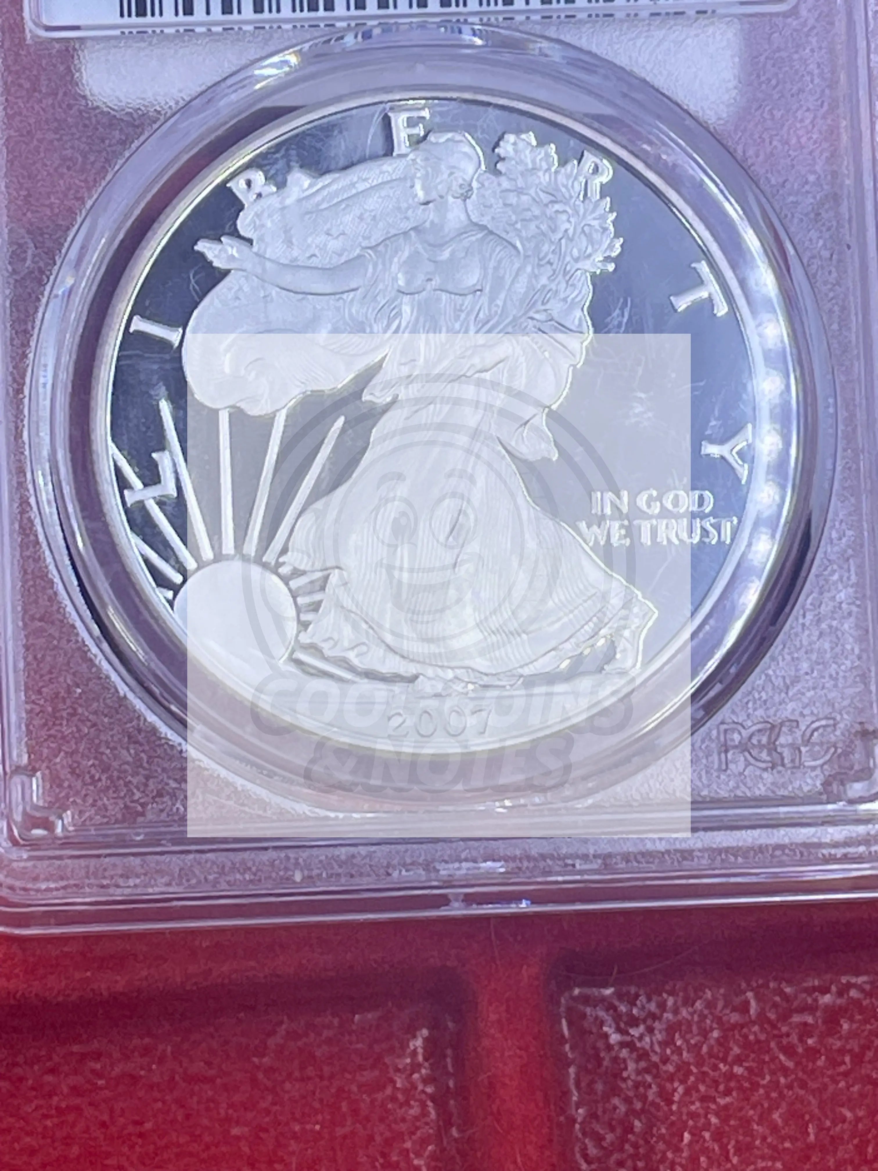 2007-W 1 American Silver Eagle Proof PR69DCAM PCGS DCAM Coin Cool Coins & Notes 