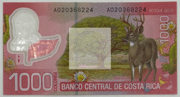 2011 Costa Rica 1000 Colones 1st Polymer P-274a Banknote - Cool Coins & Notes