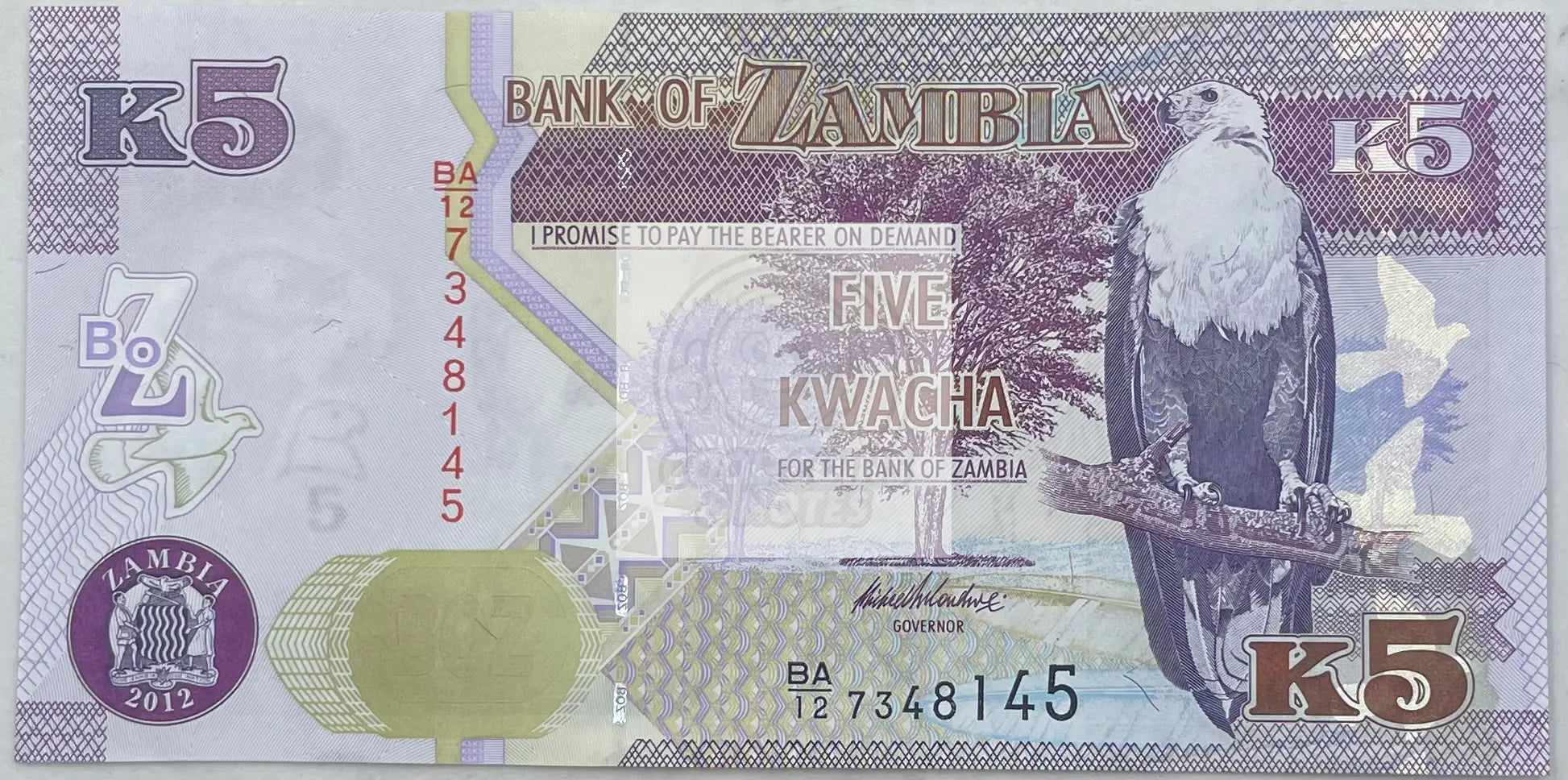 2012 Zambia 5 Kwacha P-50a UNC Lion World Banknote - Cool Coins & Notes