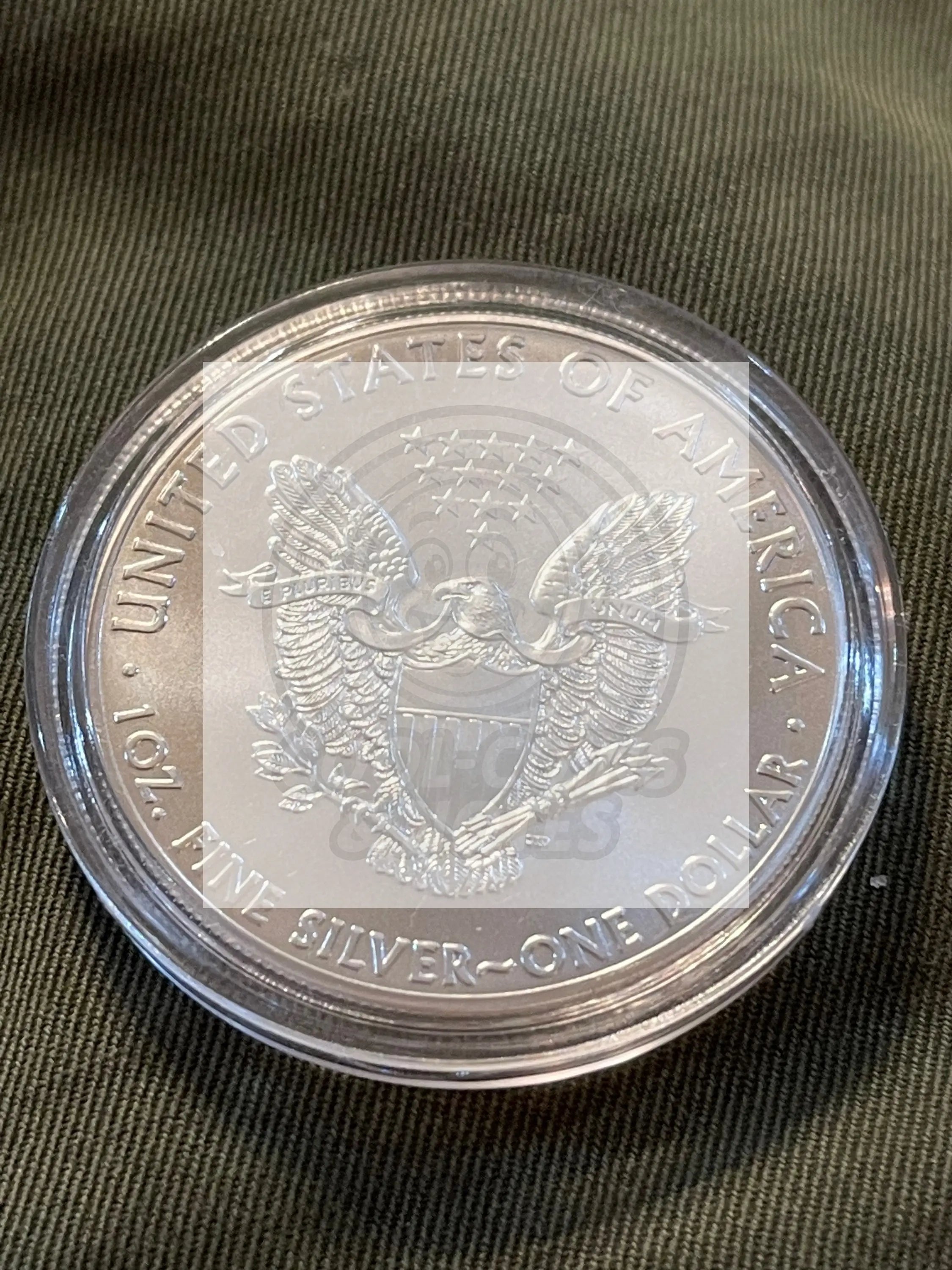 2015 American Silver Eagle UNC in Capsul Free Shipping! - Cool Coins & Notes