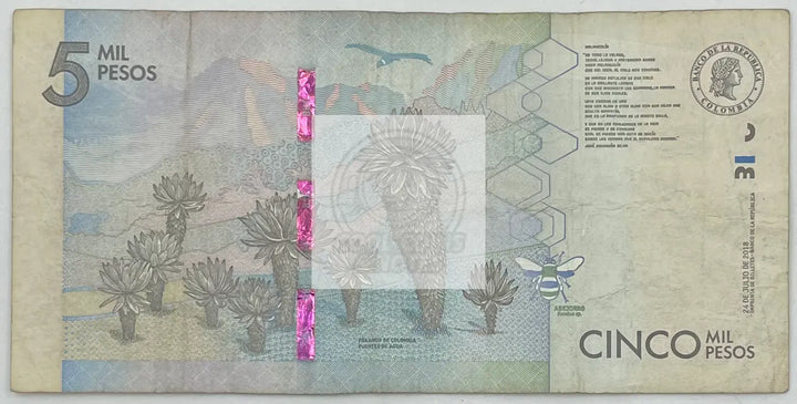 2016 Columbia 5,000 Pesos  P-459b  Banknote - Cool Coins & Notes