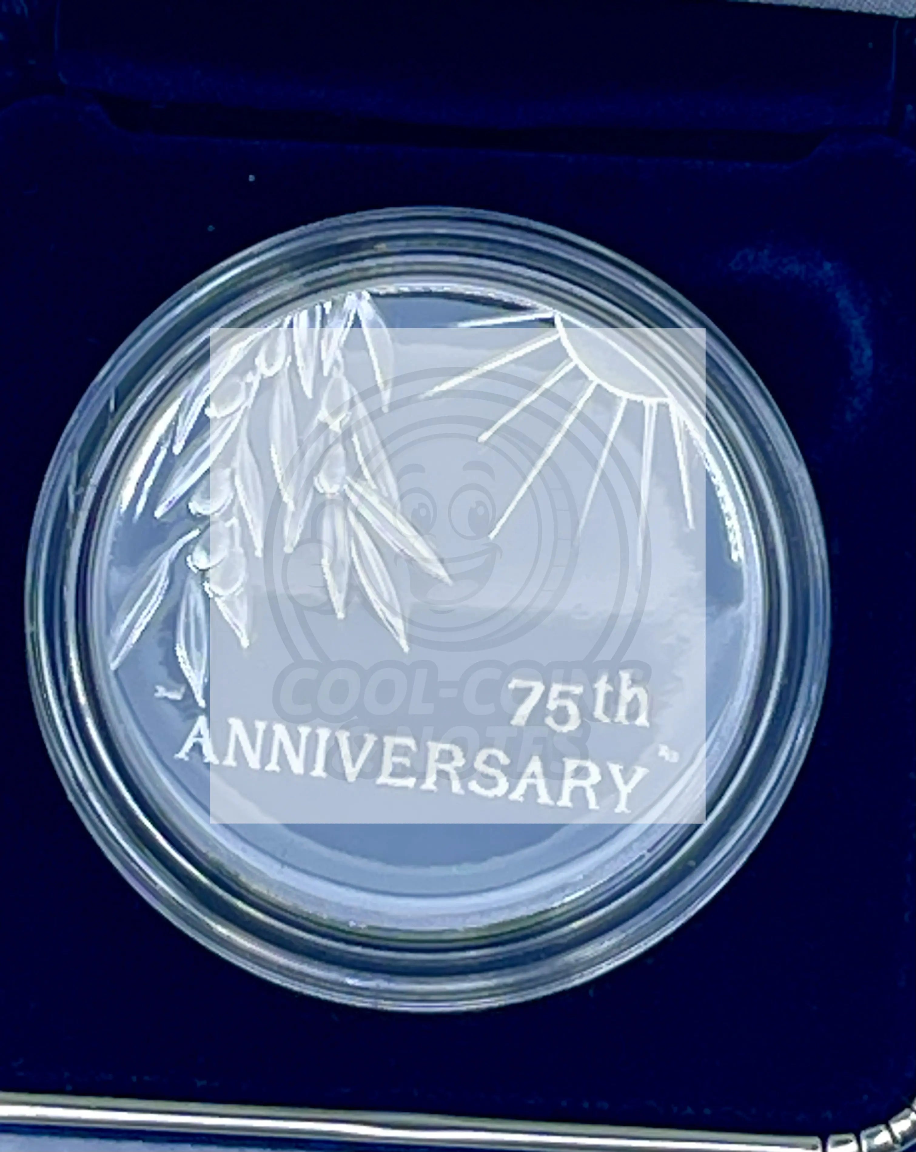 2020 SILVER MEDAL END OF WORLD WAR II IN ORIGINAL BOX/COA 1 OZ .999 WW2 - Cool Coins & Notes