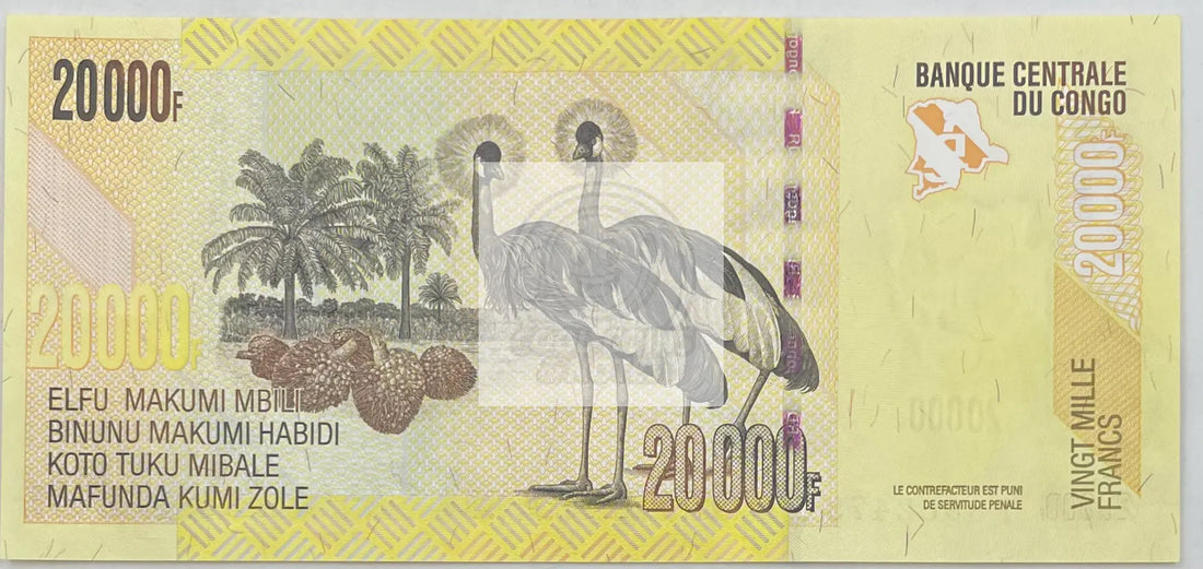 2022 Congo 20,000 Francs UNC World Banknote - Cool Coins & Notes