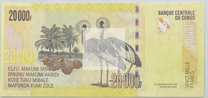 2022 Congo 20,000 Francs UNC World Banknote - Cool Coins & Notes