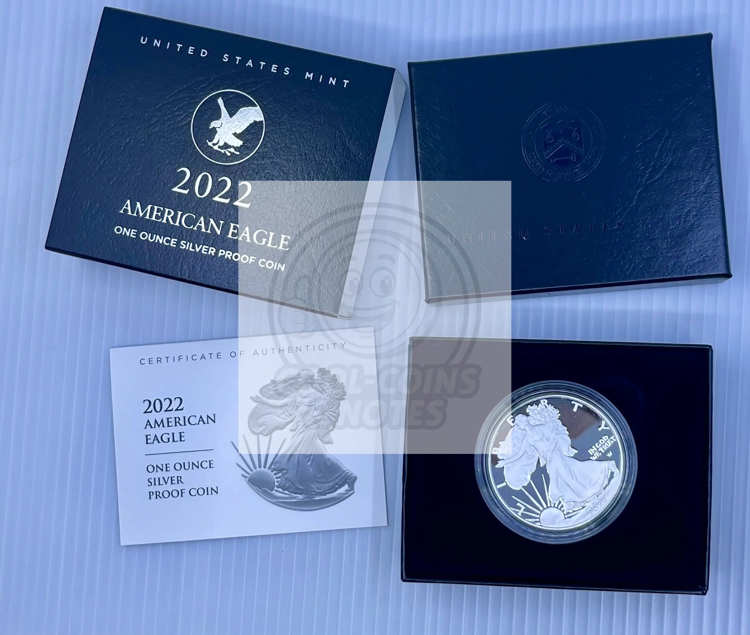 2022 S AMERICAN SILVER EAGLE 1 OZ. PROOF COIN WITH BOX AND COA - Cool Coins & Notes