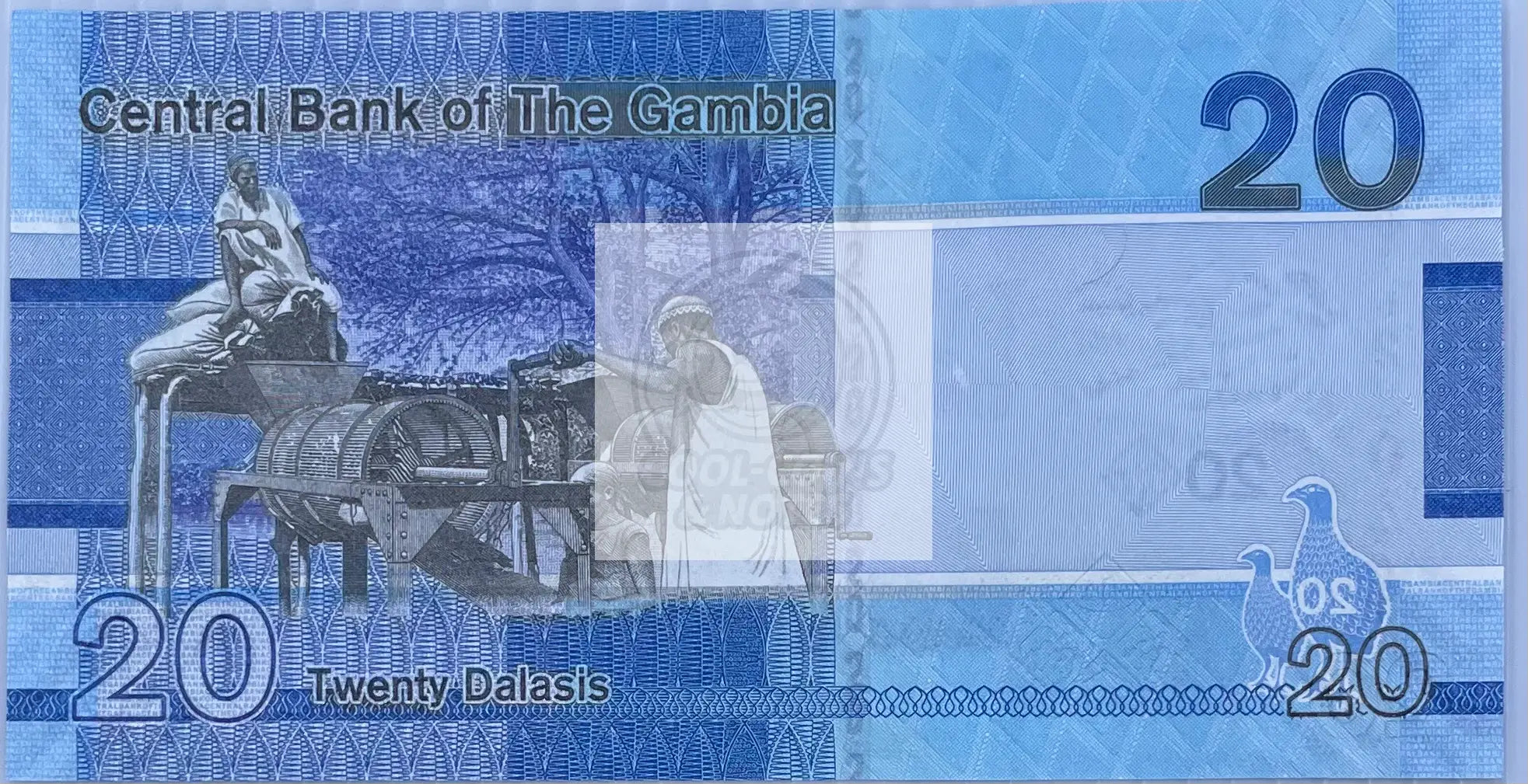 2023 Gambia 20 Dalasis P-39c UNC World Banknote - Cool Coins & Notes