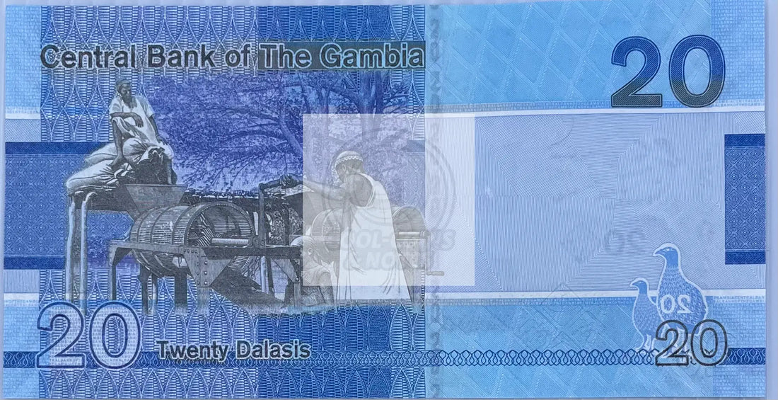 2023 Gambia 20 Dalasis P-39c UNC World Banknote - Cool Coins & Notes