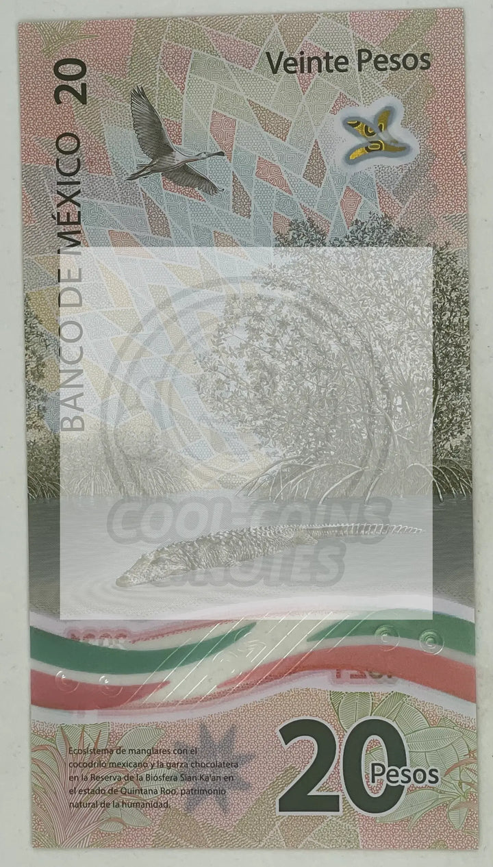 2023 Mexico 20 Pesos P-132j.5 UNC Polymer World Banknote - Cool Coins & Notes