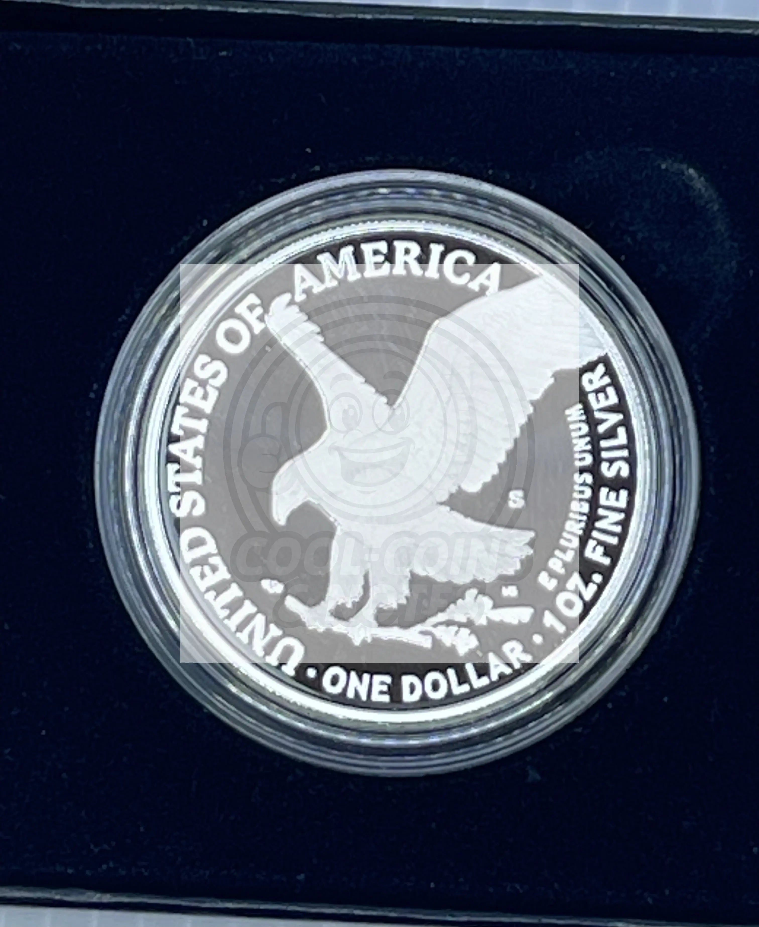 2023-S Proof $1 American Silver Eagle Box, OGP & COA - Cool Coins & Notes