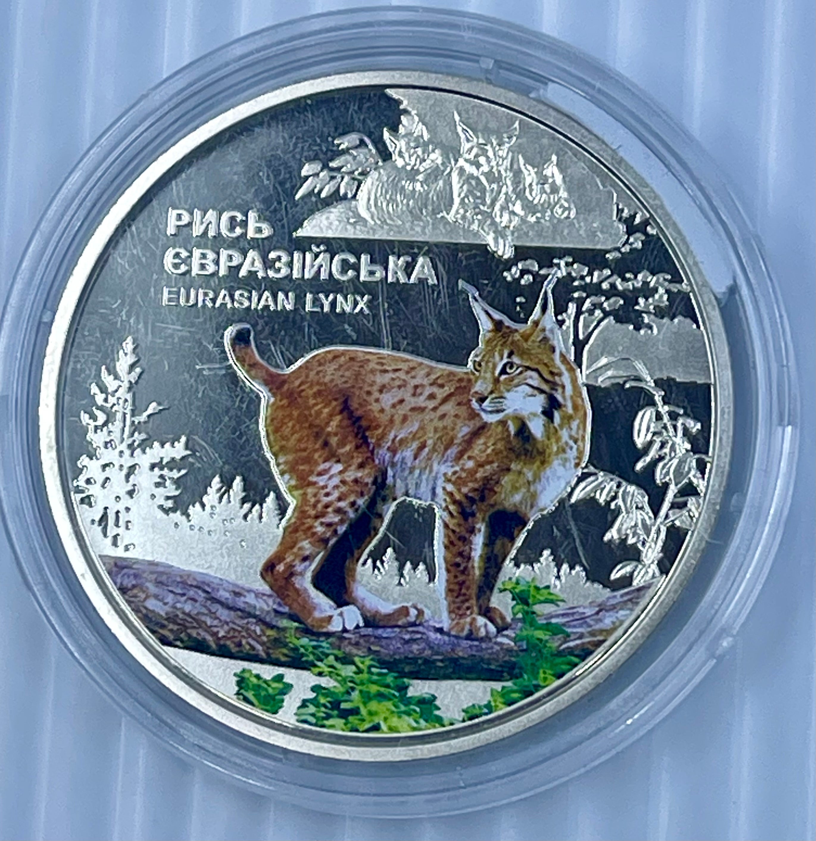 Ukraine 2023 5 Hryven Eurasian Lynx Chornobyl Preserve UNC Coin In Capsule 25K Mintage