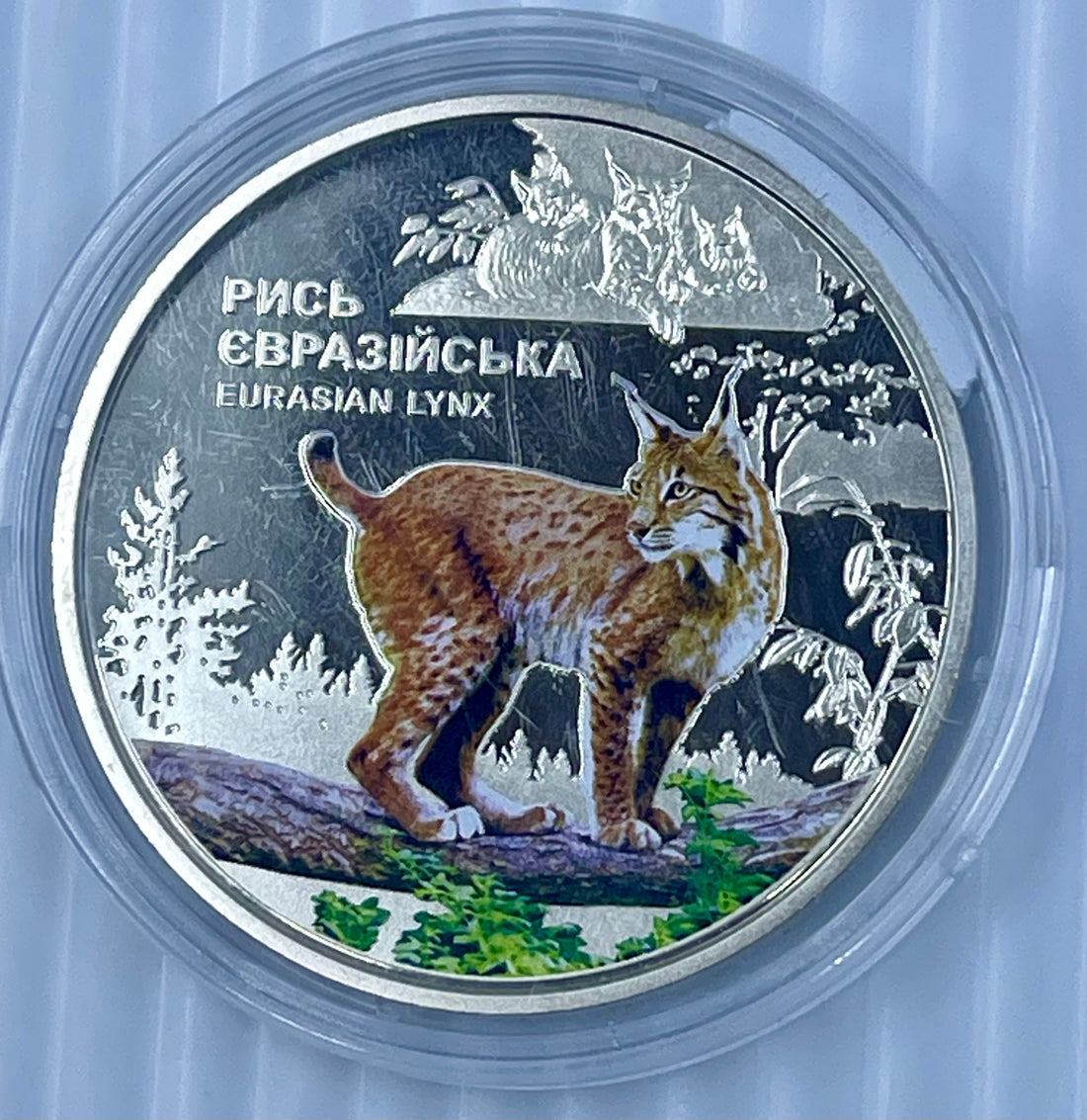 Ukraine 2023 5 Hryven Eurasian Lynx Chornobyl Preserve UNC Coin In Capsule 25K Mintage