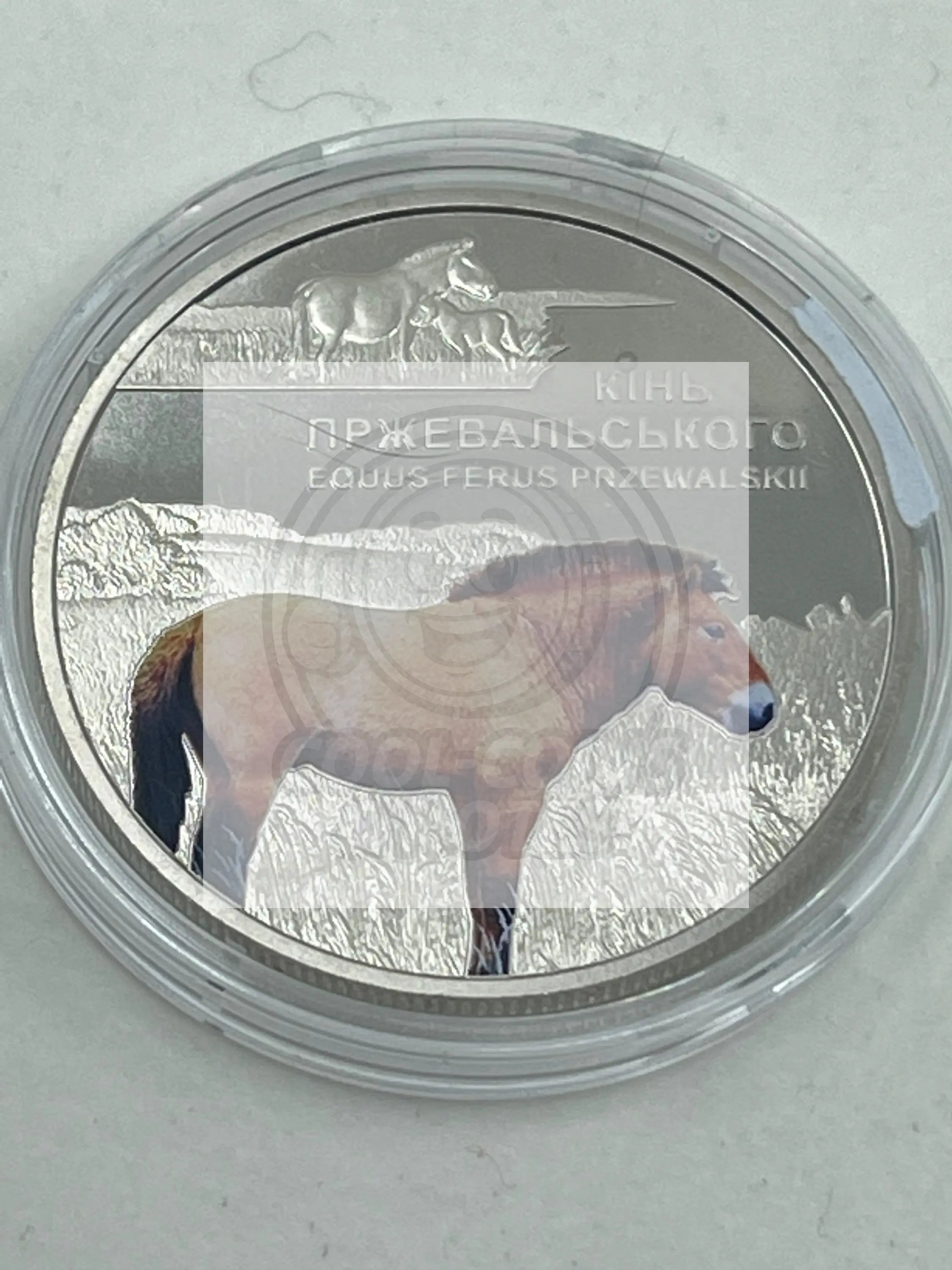5 UAH Hryvnia Commemorative Coin Ukraine 2021 Chernobyl Revival Przewalski Horse - Cool Coins & Notes