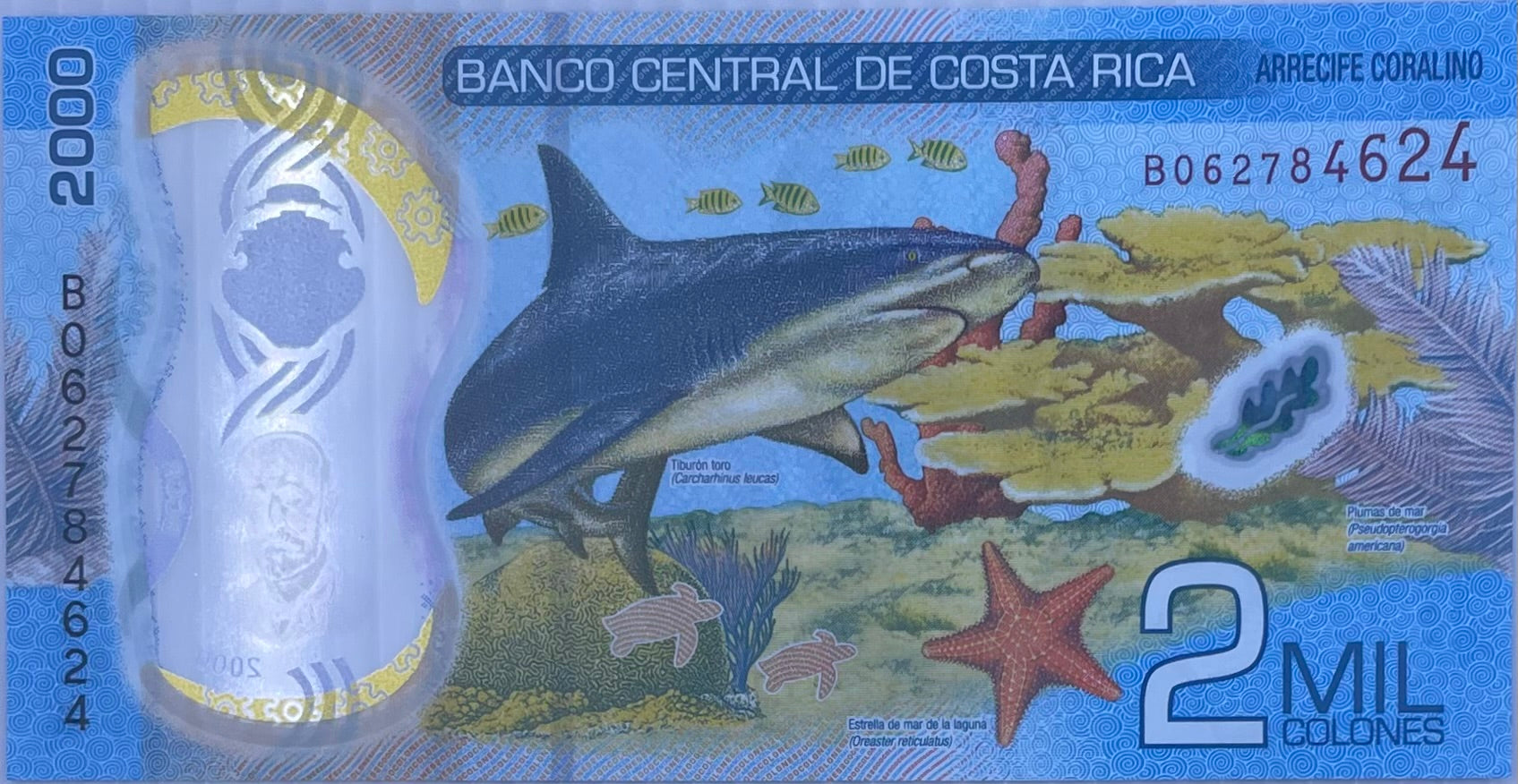 Costa Rica 2018 2000 Colones P-281 UNC SHARK Polymer World Banknote