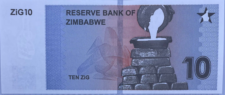 Zimbabwe 2024 10 Zig P-110 UNC World Banknote