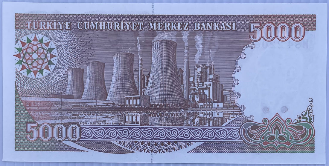 1990-1994(ND) Turkey 5,000 Lirasi P-198 UNC World Banknote